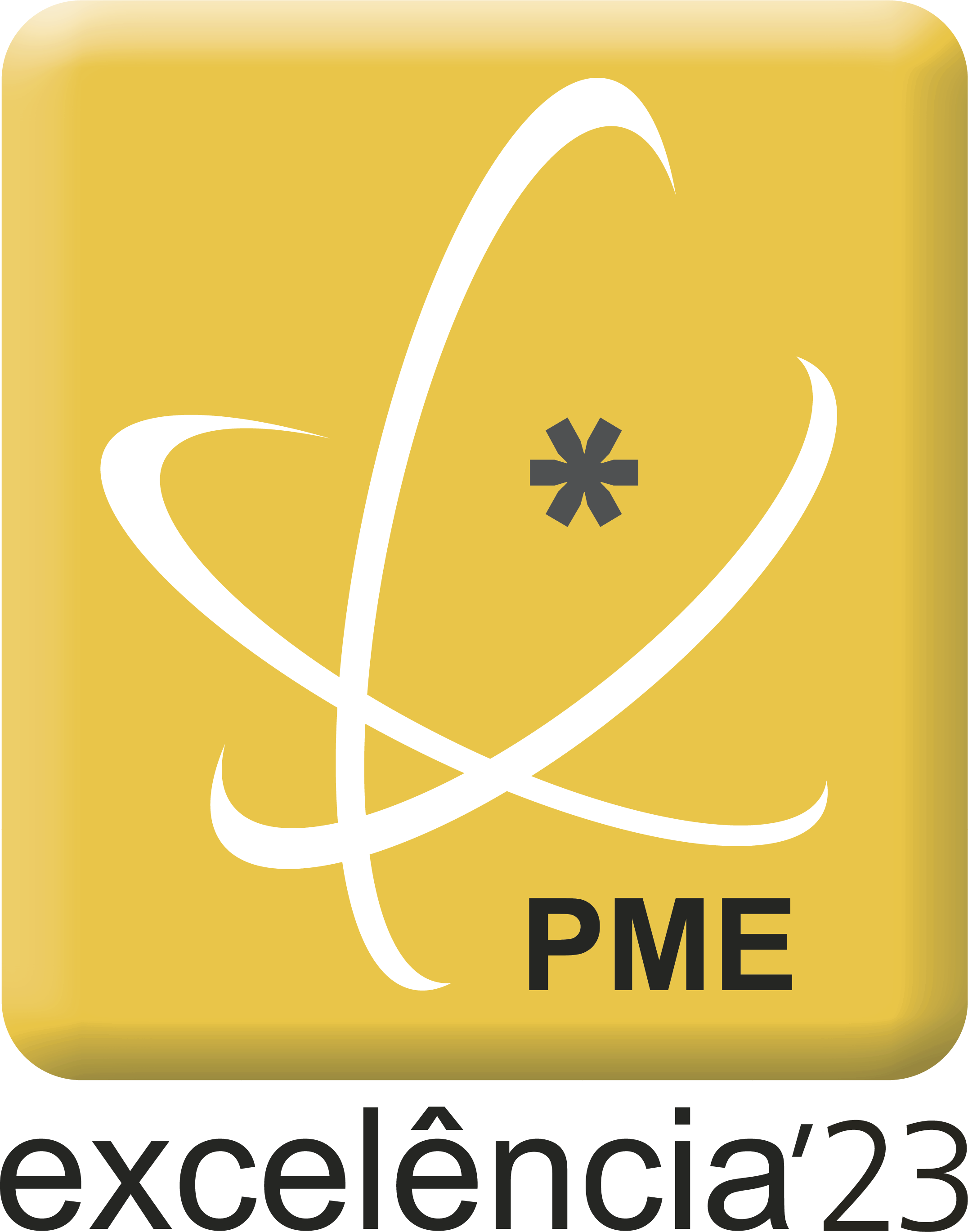 PME Lider 2021